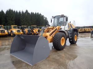 Nakladalci, LIEBHERR L 556 2plus2