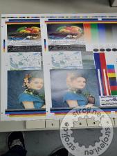 Grafični stroji offset stroj, SCREEN 344N